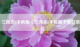 三国志2手机版(三国志2手机版下载安装)