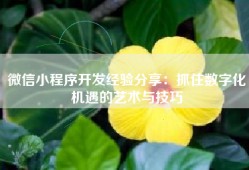 微信小程序开发经验分享：抓住数字化机遇的艺术与技巧