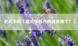 老式手机（老式手机开机键是哪个？）