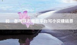 初學者可以去哪些平台写小说赚稿费