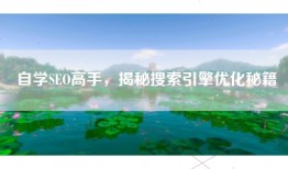 自学SEO高手，揭秘搜索引擎优化秘籍