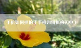 手机如何抓拍（手机如何抓拍闪电）