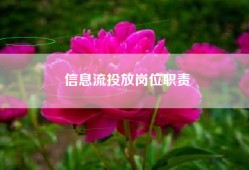 信息流投放岗位职责