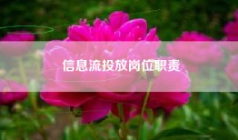信息流投放岗位职责