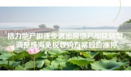 格力地产拟逐步退出房地产加快转型，调整珠海免税收购方案股价涨停