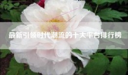 最新引领时代潮流的十大平台排行榜