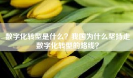数字化转型是什么？我国为什么坚持走数字化转型的路线？