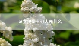 证券投资主办人是什么