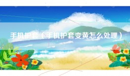 手机护套（手机护套变黄怎么处理）