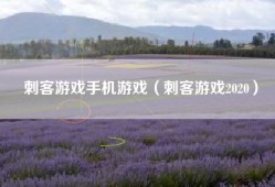 刺客游戏手机游戏（刺客游戏2020）
