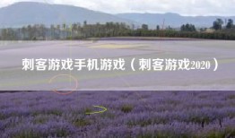 刺客游戏手机游戏（刺客游戏2020）