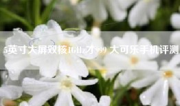 5英寸大屏双核1GHz才999 大可乐手机评测