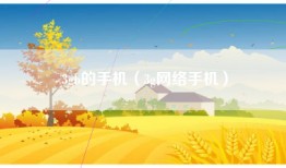 3gb的手机（3g网络手机）