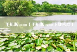 手机版steam（手机版steam下载官网）