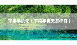 苹果手机无（苹果手机无怎样开）