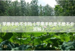 苹果手机不卡吗（苹果手机是不是不卡流畅）
