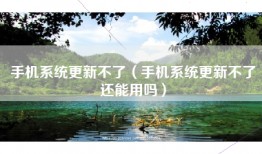 手机系统更新不了（手机系统更新不了还能用吗）