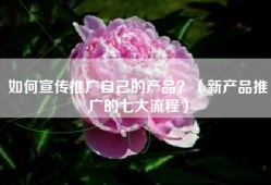 如何宣传推广自己的产品？（新产品推广的七大流程）