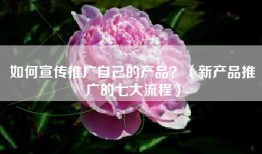 如何宣传推广自己的产品？（新产品推广的七大流程）