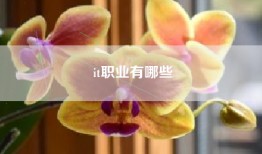 it职业有哪些