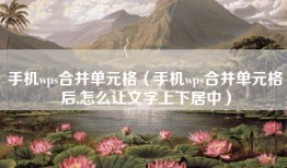 手机wps合并单元格（手机wps合并单元格后,怎么让文字上下居中）