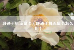 联通手机流量卡（联通手机流量卡怎么用）