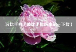 波比手机（波比手机版本第三下载）
