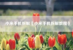 小米手机拆解（小米手机拆解教程）
