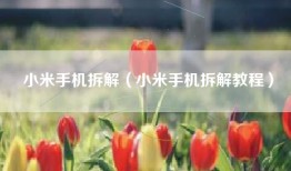 小米手机拆解（小米手机拆解教程）