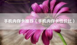 手机内存卡推荐（手机内存卡性价比）