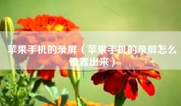 苹果手机的录屏（苹果手机的录屏怎么设置出来）