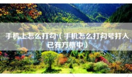 手机上怎么打勾（手机怎么打勾号打入已有方框中）