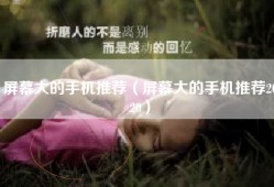 屏幕大的手机推荐（屏幕大的手机推荐2020）