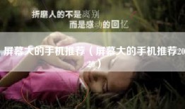 屏幕大的手机推荐（屏幕大的手机推荐2020）