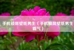 手机锁屏壁纸男生（手机锁屏壁纸男生霸气）