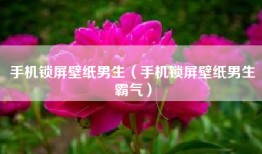 手机锁屏壁纸男生（手机锁屏壁纸男生霸气）