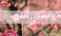 手机渗透软件（app渗透软件）