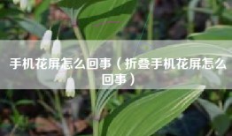 手机花屏怎么回事（折叠手机花屏怎么回事）