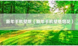 新年手机壁纸（新年手机壁纸烟花）