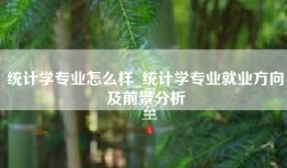 统计学专业怎么样_统计学专业就业方向及前景分析