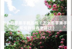 怎么看苹果手机系统（怎么看苹果手机系统有没有更新过）