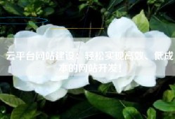 云平台网站建设：轻松实现高效、低成本的网站开发！
