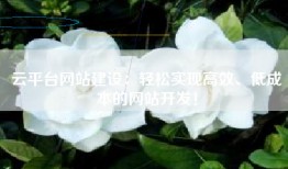 云平台网站建设：轻松实现高效、低成本的网站开发！