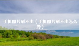手机图片刷不出（手机图片刷不出怎么办）