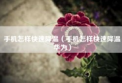 手机怎样快速降温（手机怎样快速降温华为）