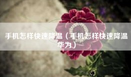 手机怎样快速降温（手机怎样快速降温华为）