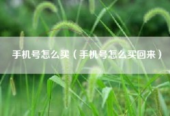 手机号怎么买（手机号怎么买回来）