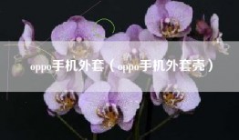 oppo手机外套（oppo手机外套壳）