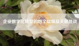 企业数字化转型的四个层级及关键挑战