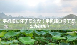 手机插口坏了怎么办（手机插口坏了怎么办视频）